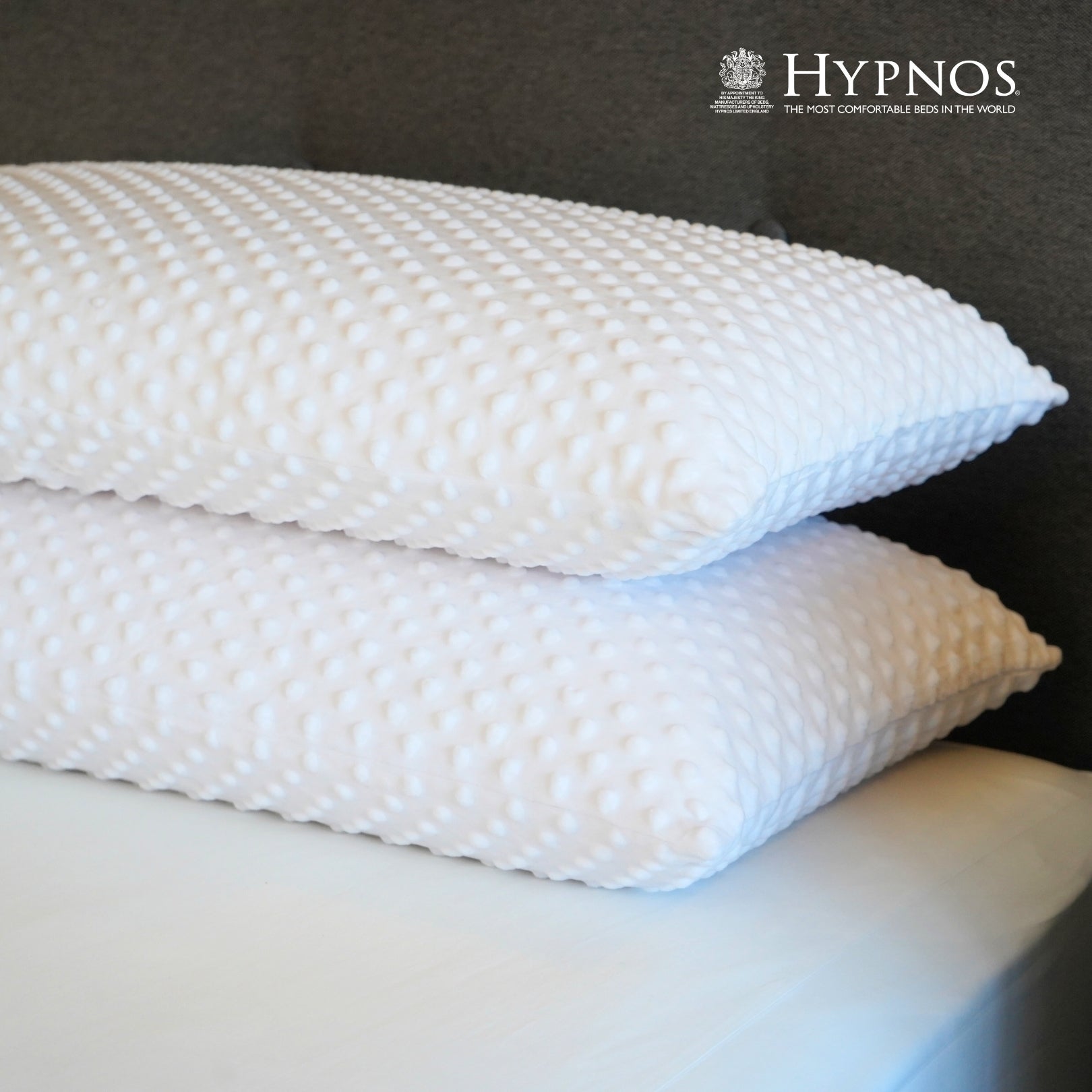 Hypnos Latex High Profile Pillow