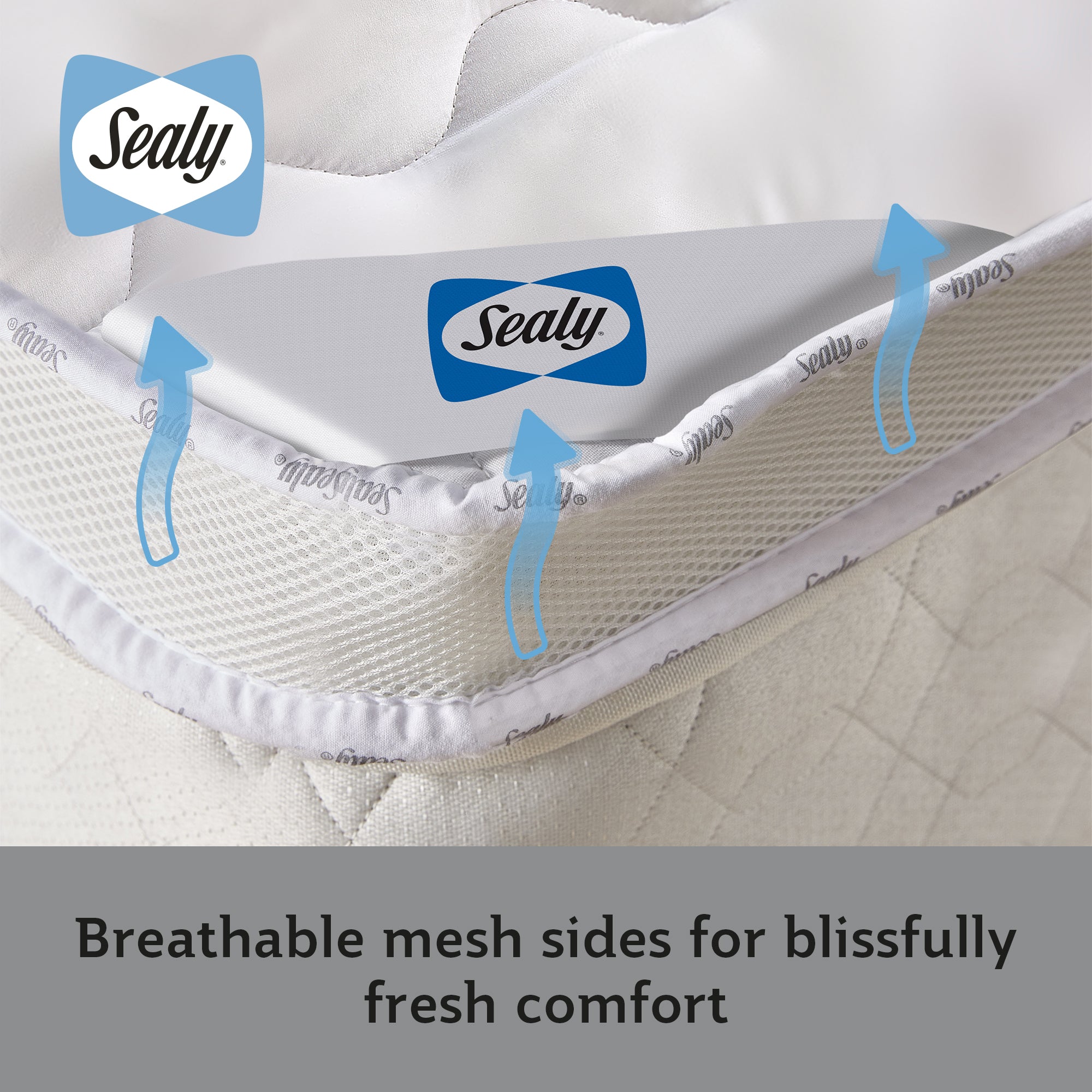 Sealy Deeply Full Mattress Topper