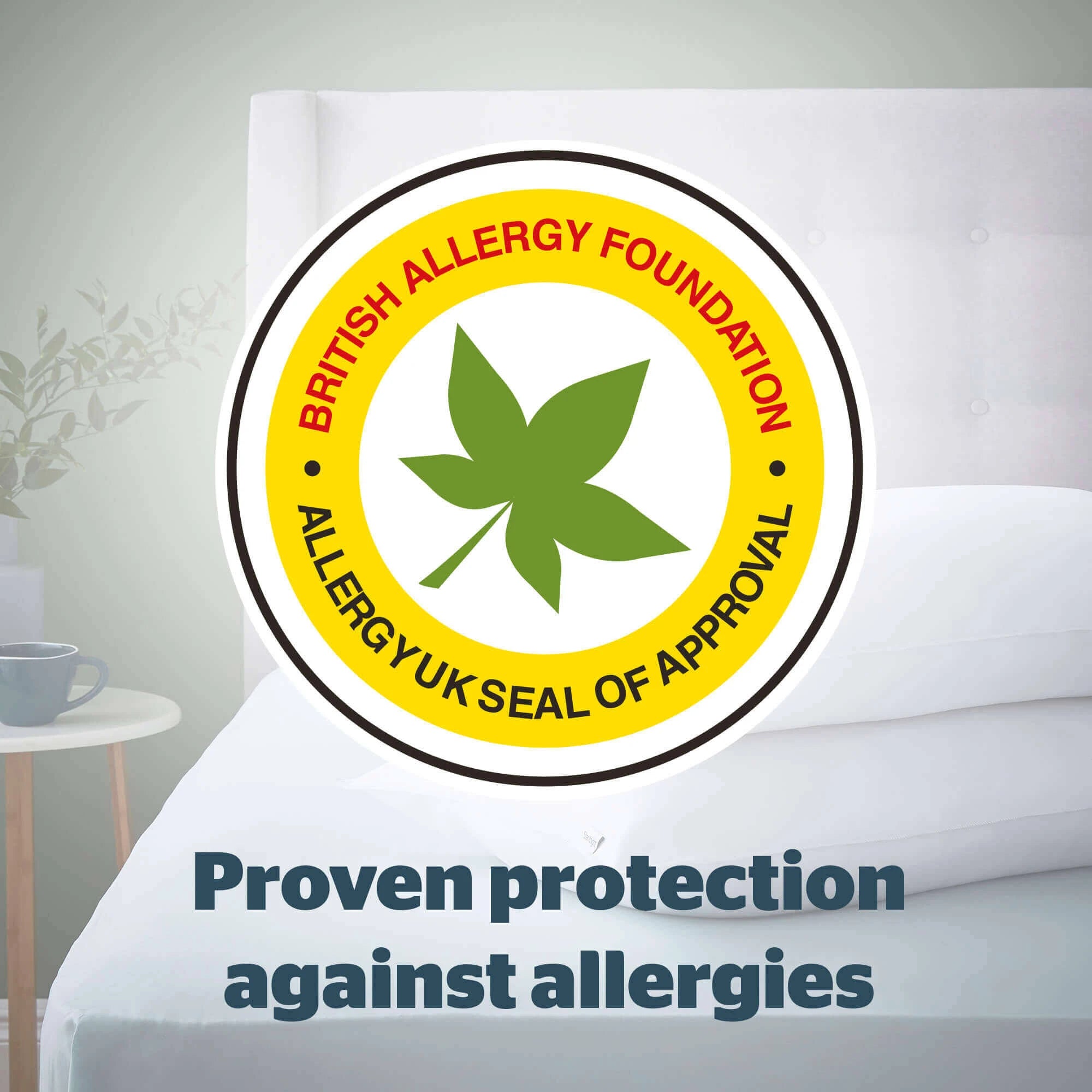 Silentnight Anti-Allergy Pillow - Pack of 2